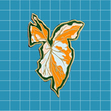 Cargar imagen en el visor de la galería, Syngonium
