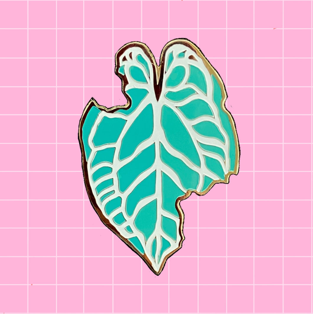 Anthurium
