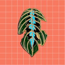 Cargar imagen en el visor de la galería, Maranta
