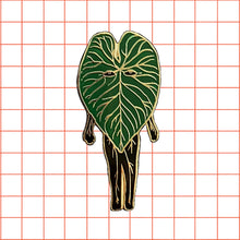 Cargar imagen en el visor de la galería, Philodendron
